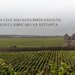 Winedom - Magazin online vinuri in Franta si Italia